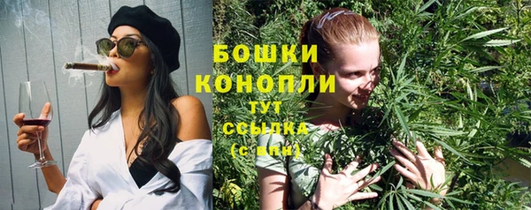 ПСИЛОЦИБИНОВЫЕ ГРИБЫ Иннополис