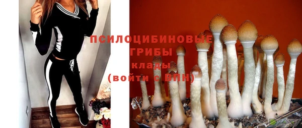 скорость Сосновый Бор
