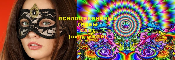 ПСИЛОЦИБИНОВЫЕ ГРИБЫ Иннополис