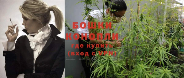 ПСИЛОЦИБИНОВЫЕ ГРИБЫ Иннополис