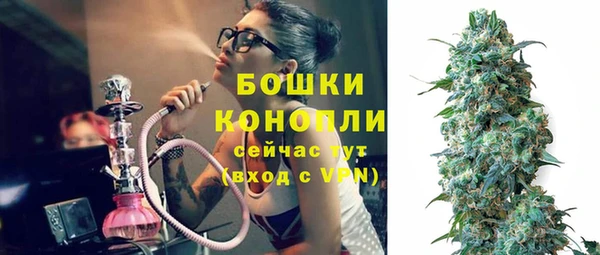 ПСИЛОЦИБИНОВЫЕ ГРИБЫ Иннополис