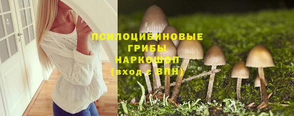 кокс Инта