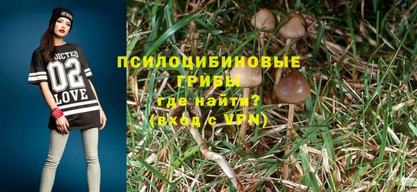ПСИЛОЦИБИНОВЫЕ ГРИБЫ Иннополис