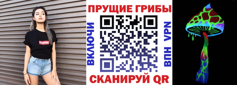 купить   Сосенский  Галлюциногенные грибы мицелий 